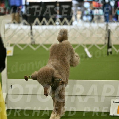 Ring-4-Morning-Rally_0621