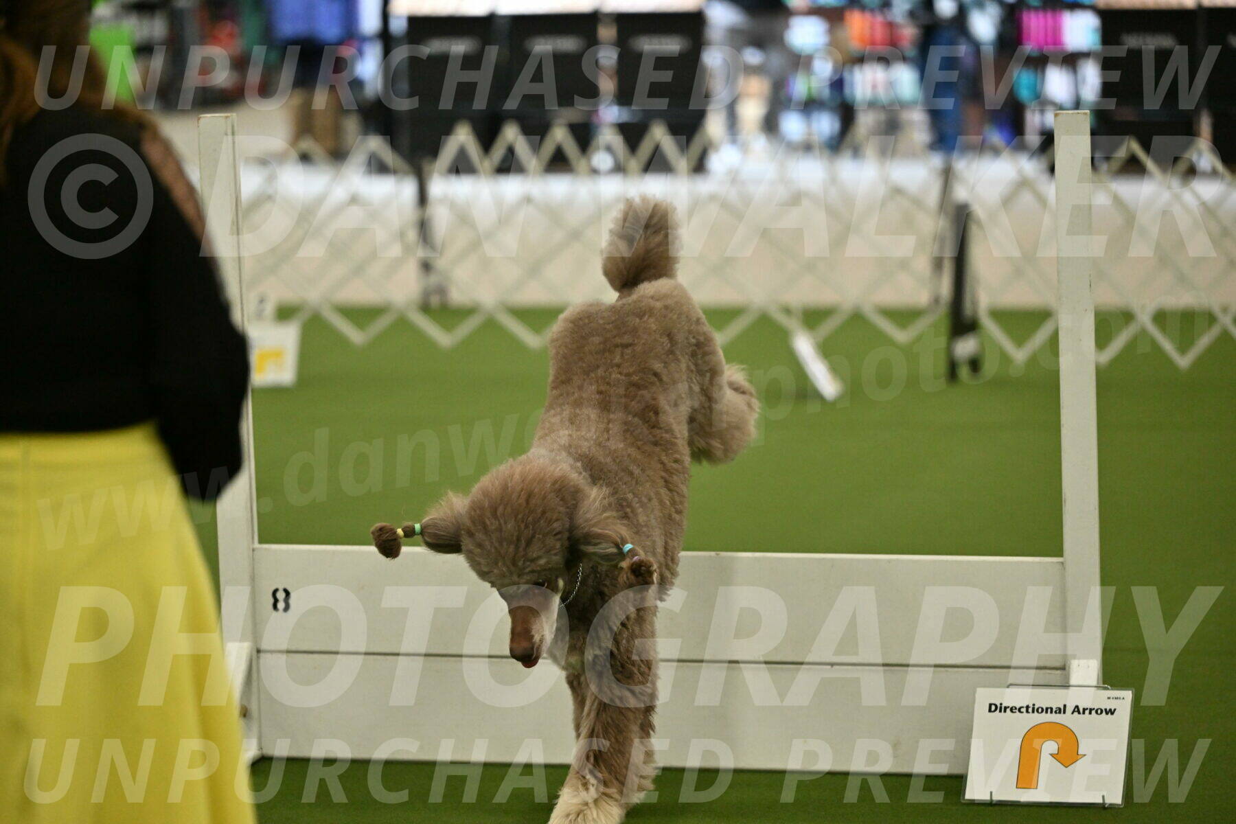 Ring-4-Morning-Rally_0621