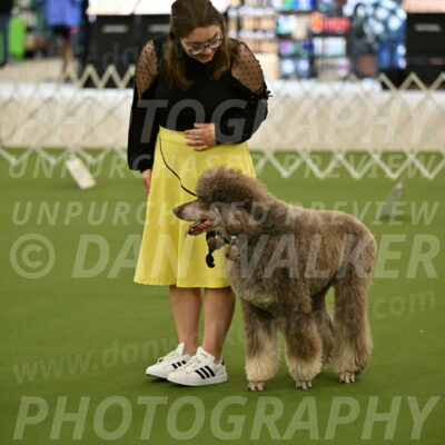 Ring-4-Morning-Rally_0624