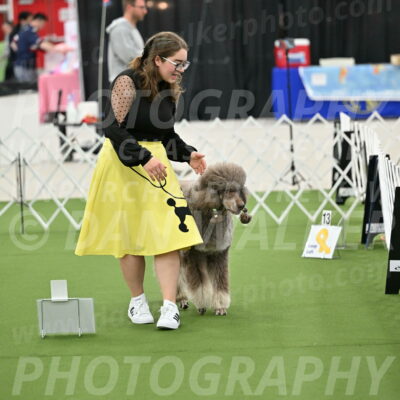 Ring-4-Morning-Rally_0628