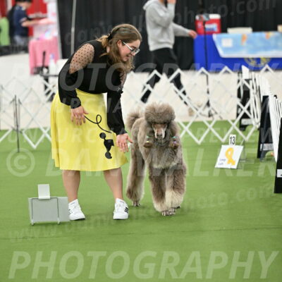 Ring-4-Morning-Rally_0629