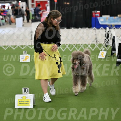 Ring-4-Morning-Rally_0637