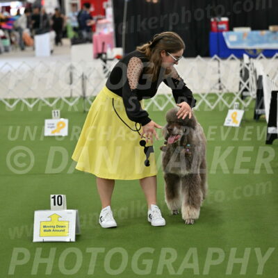 Ring-4-Morning-Rally_0640