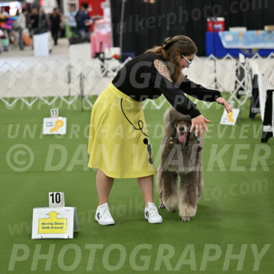 Ring-4-Morning-Rally_0641