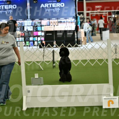 Ring-4-Morning-Rally_0690