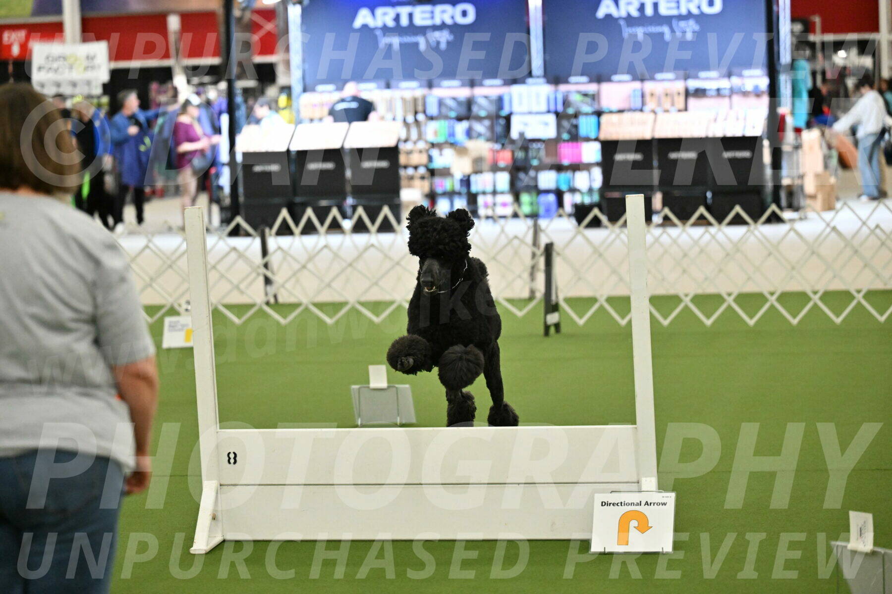 Ring-4-Morning-Rally_0691