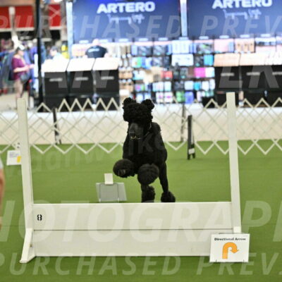 Ring-4-Morning-Rally_0691