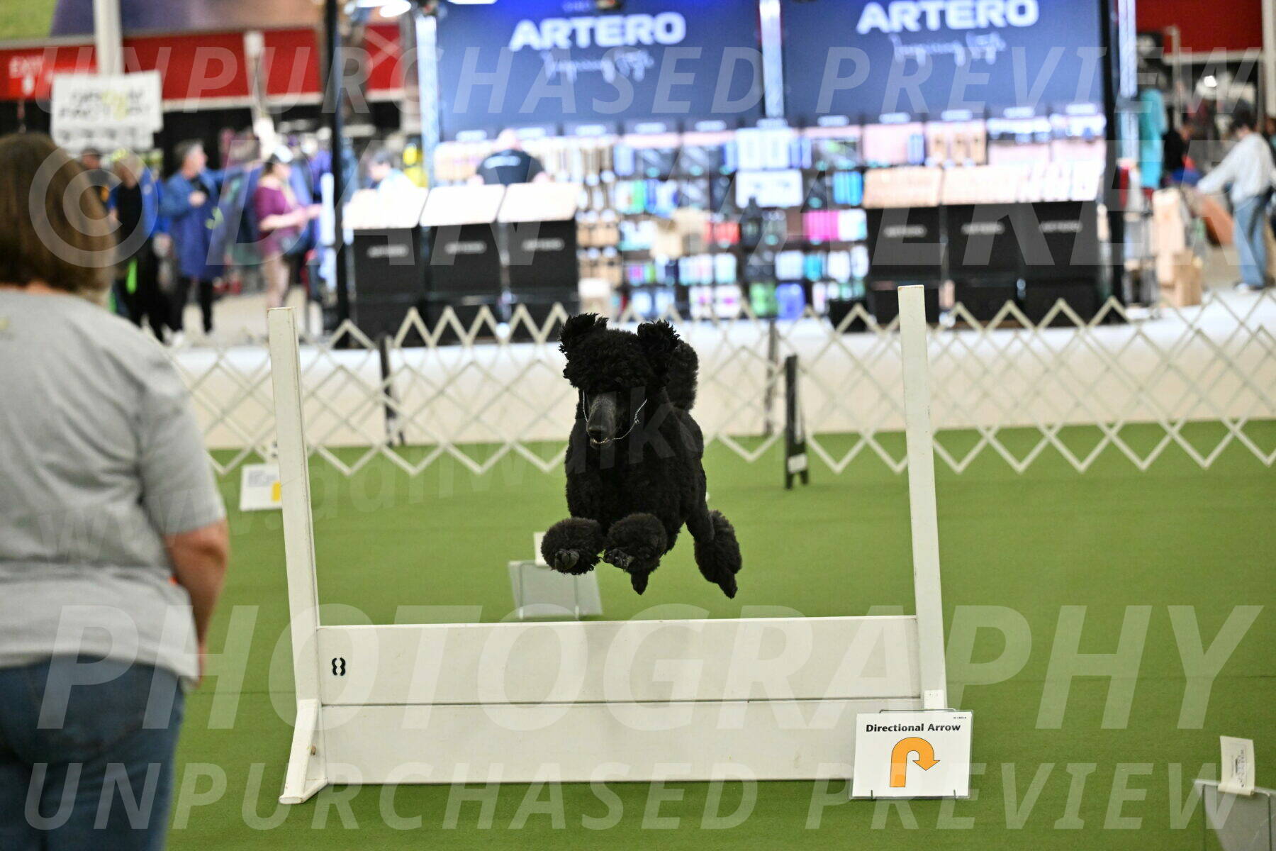 Ring-4-Morning-Rally_0692