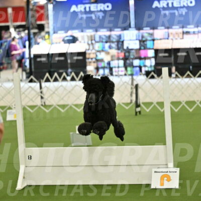 Ring-4-Morning-Rally_0692