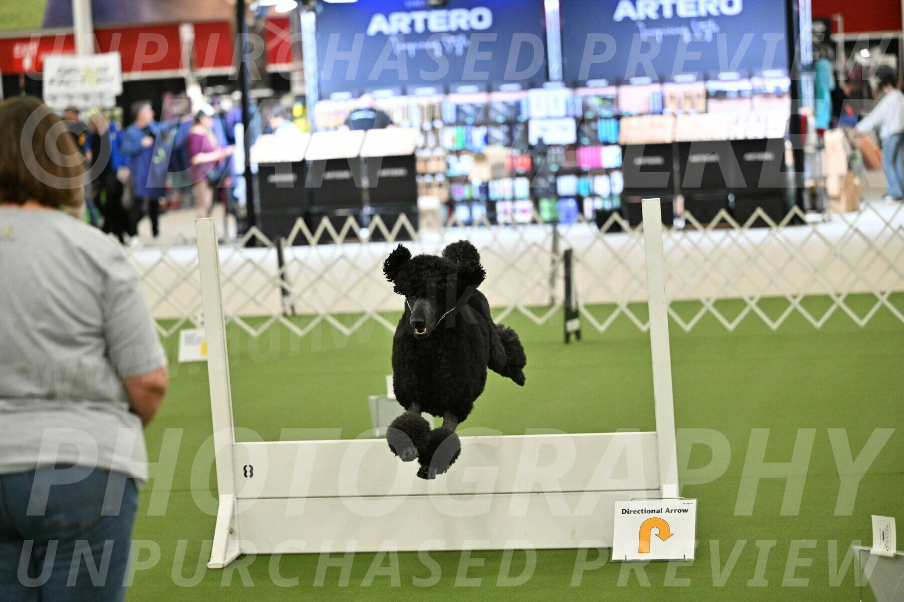 Ring-4-Morning-Rally_0693