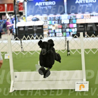 Ring-4-Morning-Rally_0693