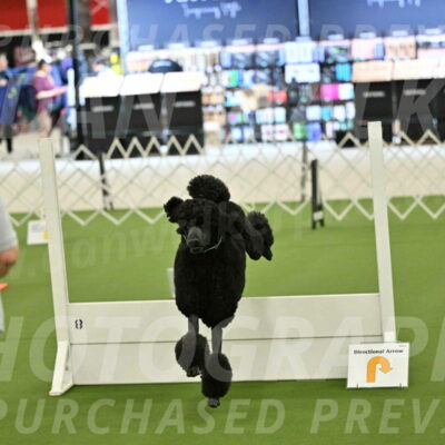 Ring-4-Morning-Rally_0694