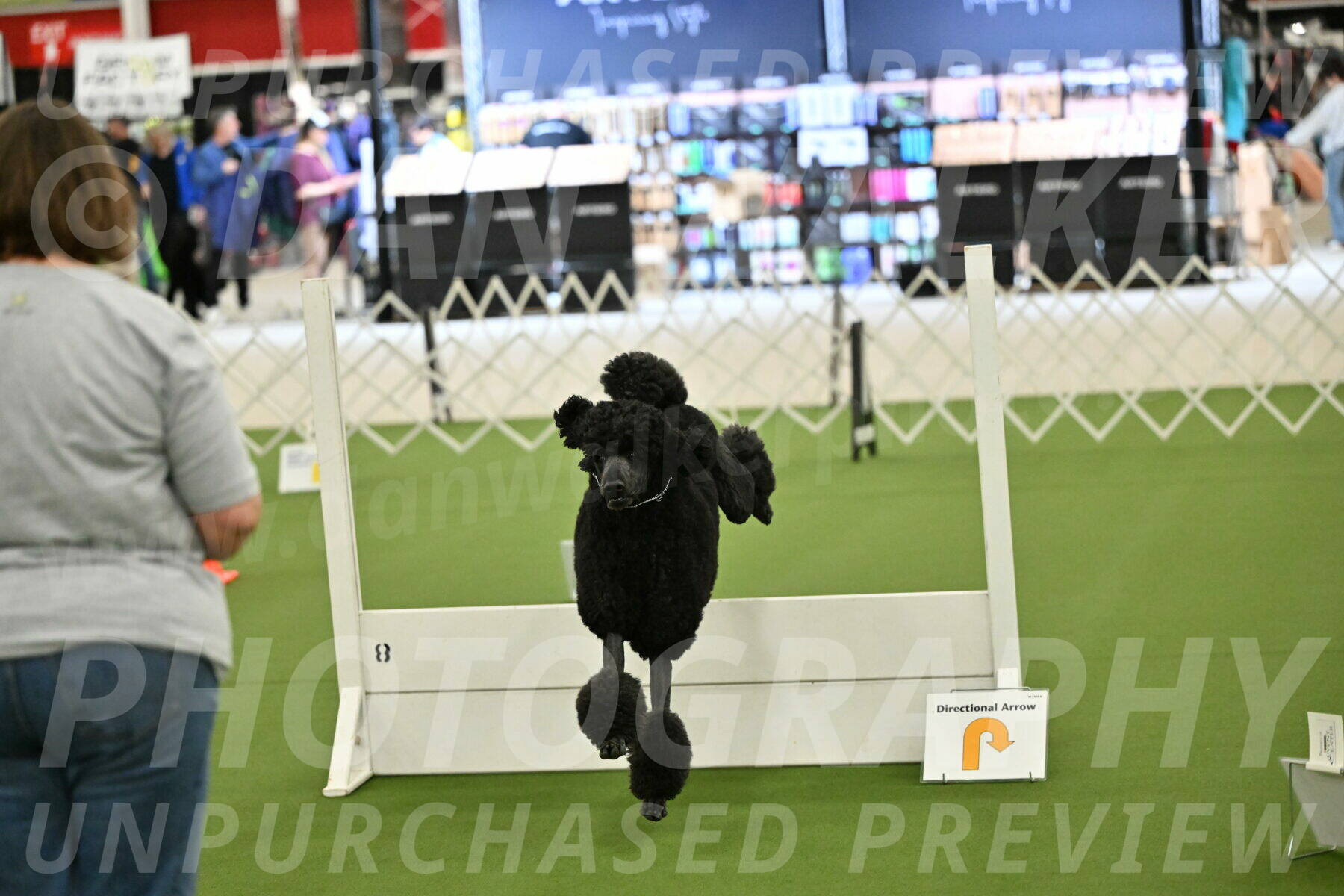 Ring-4-Morning-Rally_0694