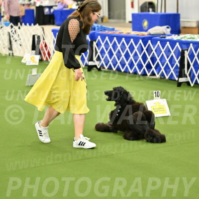 Ring-4-Morning-Rally_0724