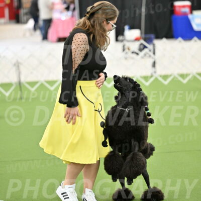 Ring-4-Morning-Rally_0745