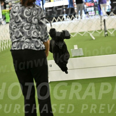 Ring-4-Morning-Rally_0785