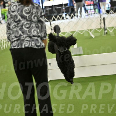 Ring-4-Morning-Rally_0786