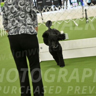 Ring-4-Morning-Rally_0787