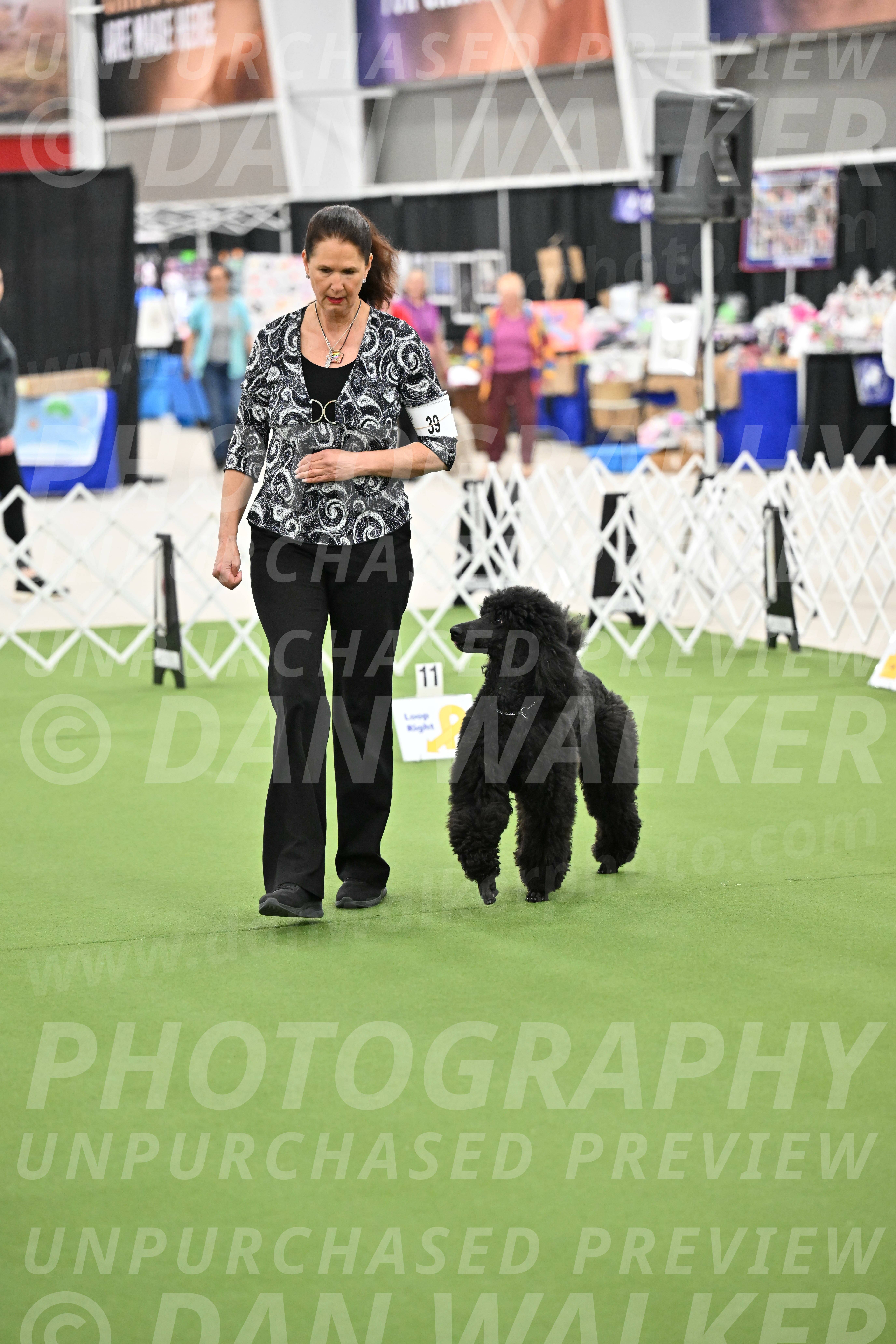 Ring-4-Morning-Rally_0794