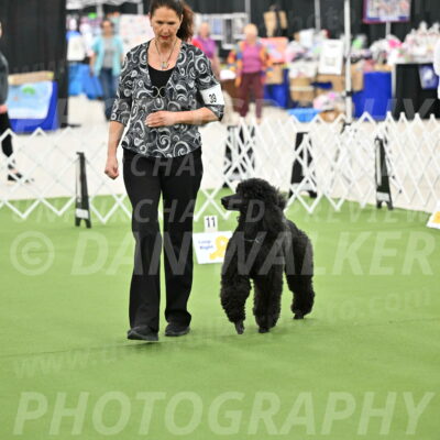 Ring-4-Morning-Rally_0794