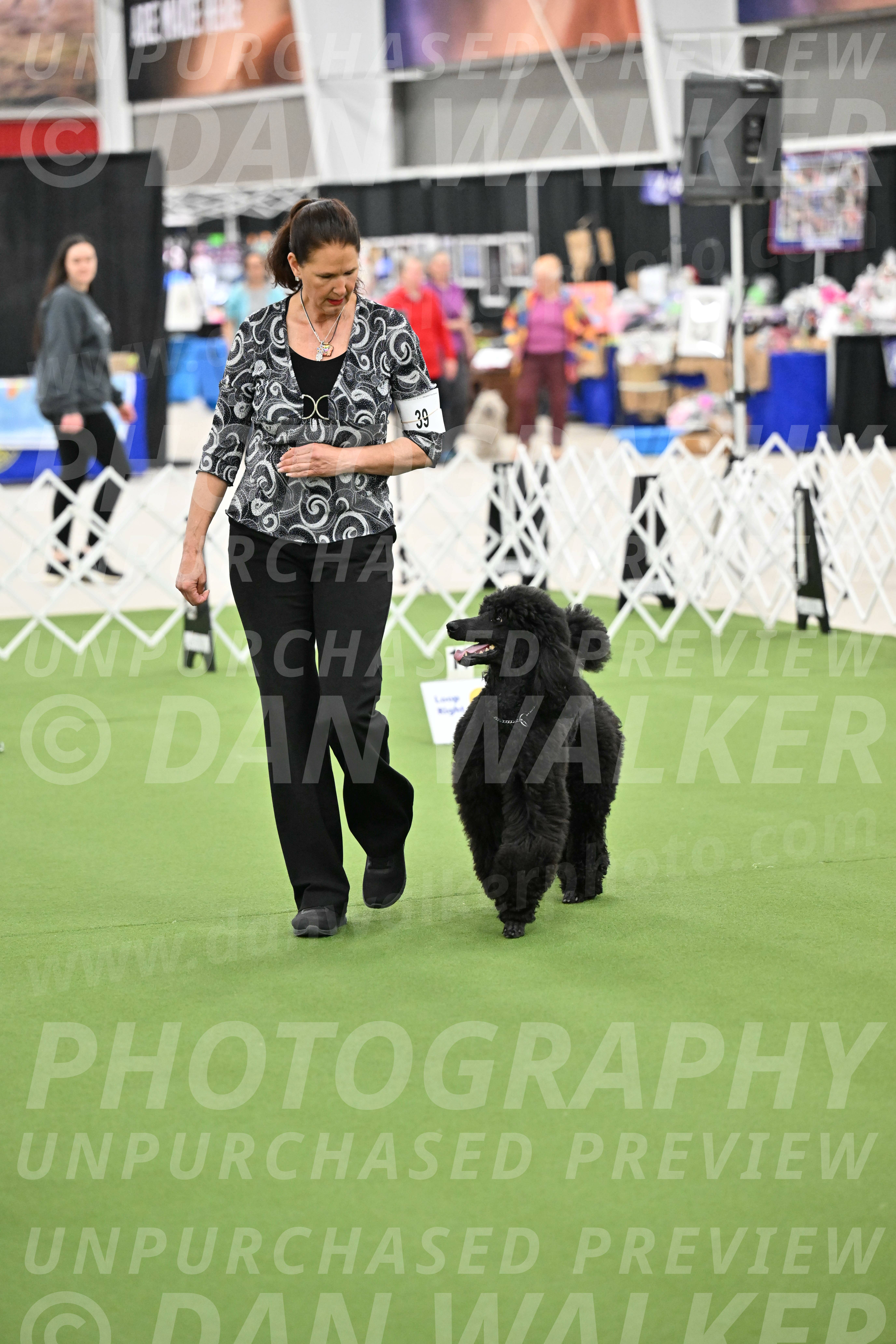 Ring-4-Morning-Rally_0795