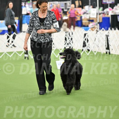 Ring-4-Morning-Rally_0795