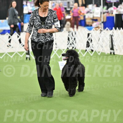 Ring-4-Morning-Rally_0796