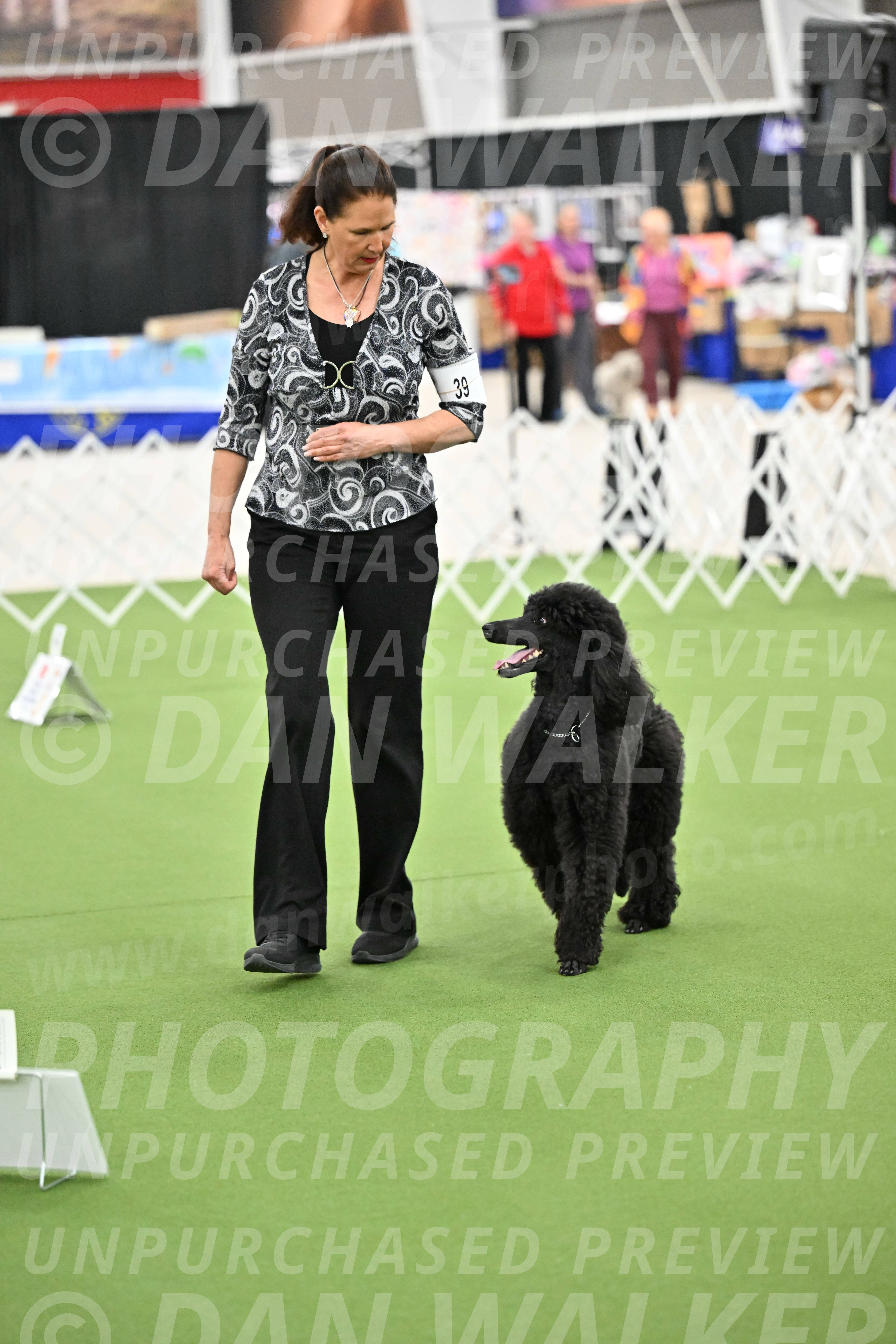 Ring-4-Morning-Rally_0797