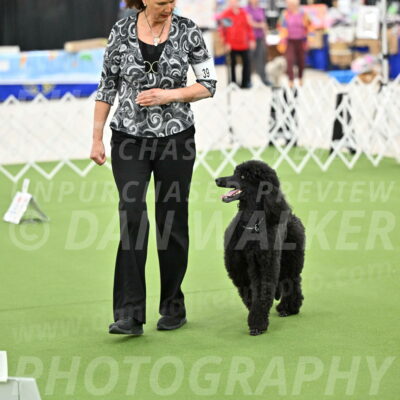 Ring-4-Morning-Rally_0797