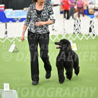 Ring-4-Morning-Rally_0798