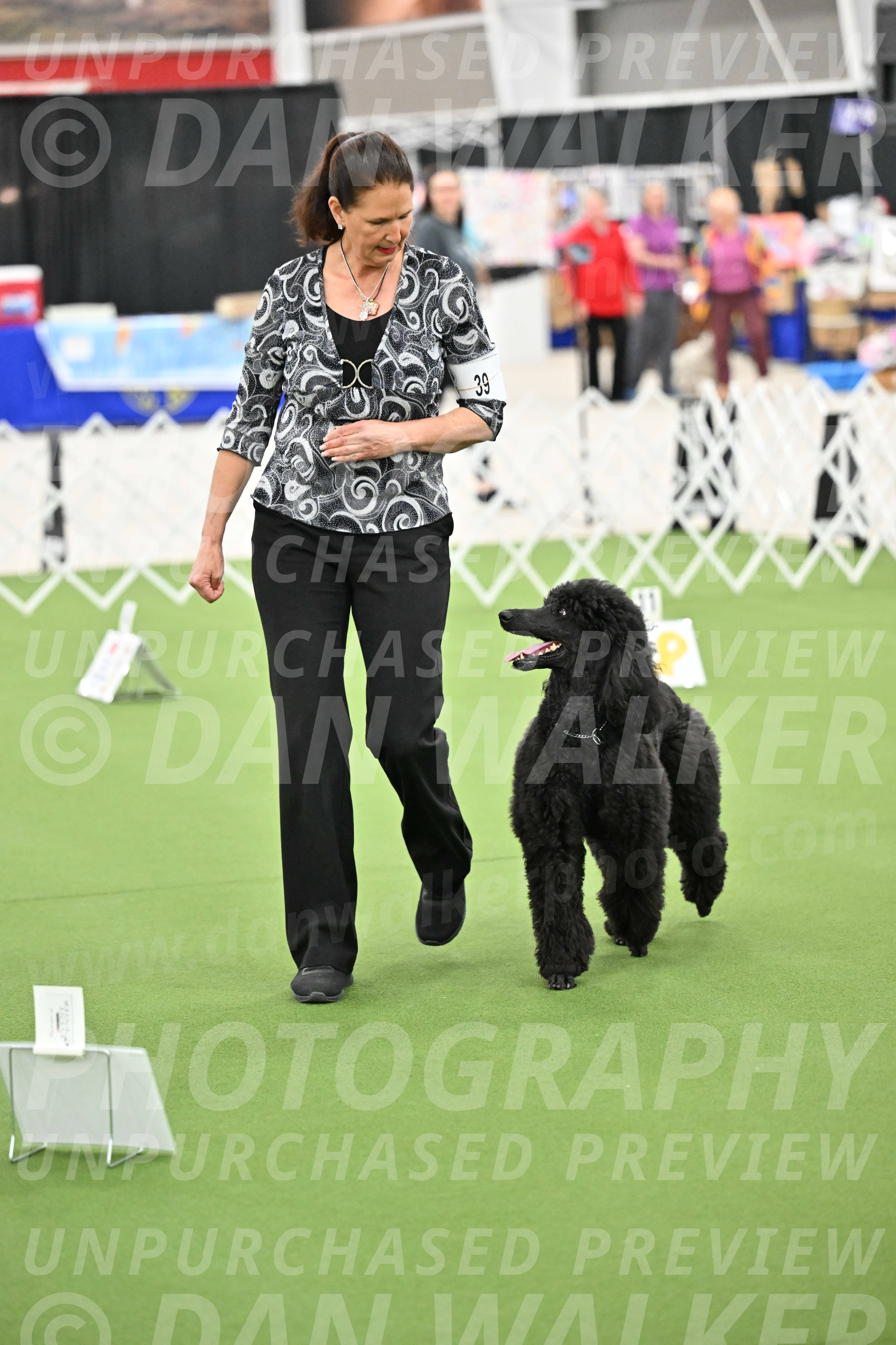 Ring-4-Morning-Rally_0798