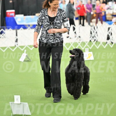 Ring-4-Morning-Rally_0799