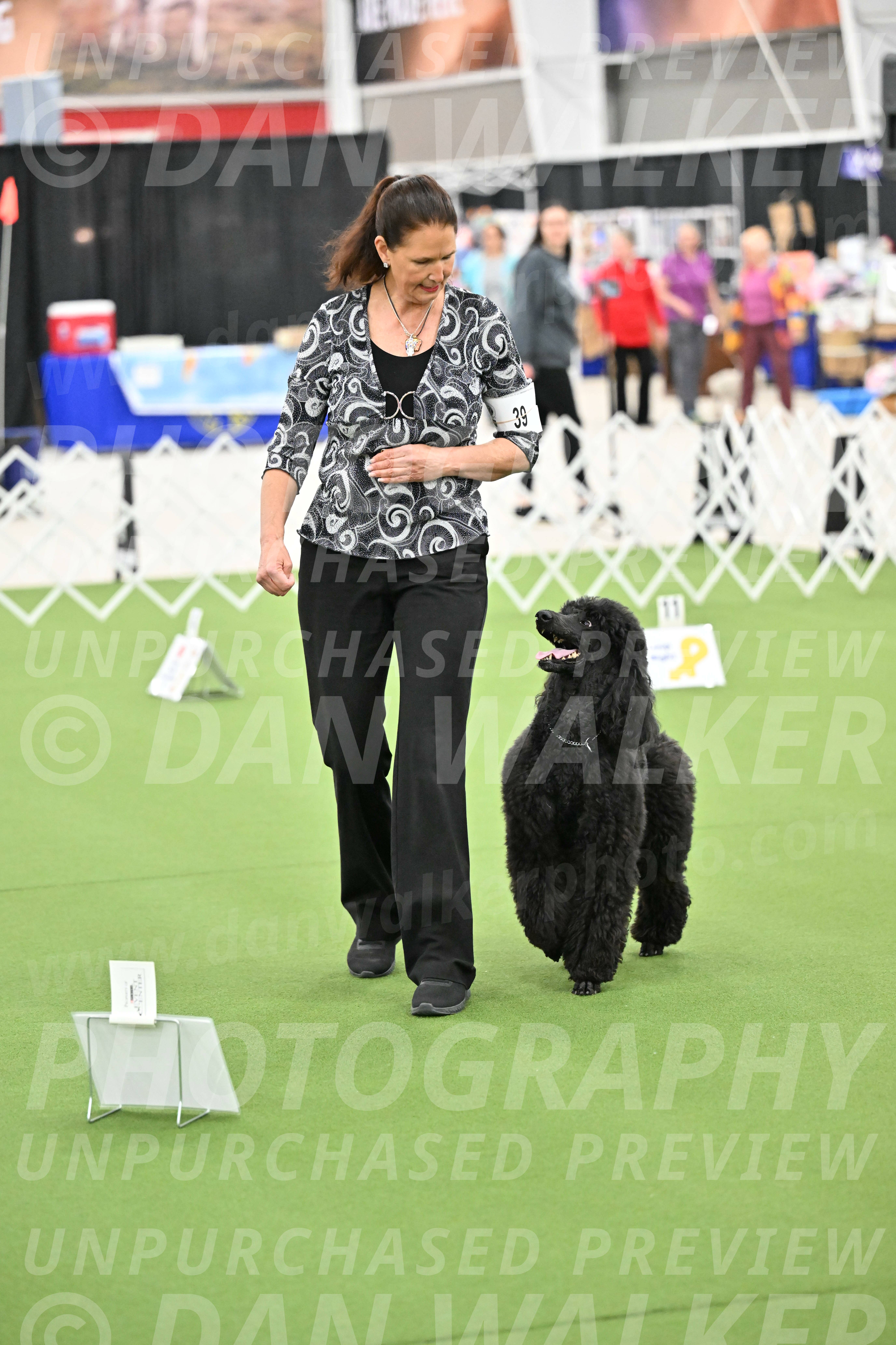 Ring-4-Morning-Rally_0799