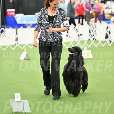 Ring-4-Morning-Rally_0800