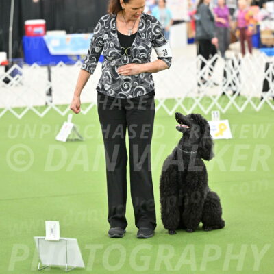 Ring-4-Morning-Rally_0801