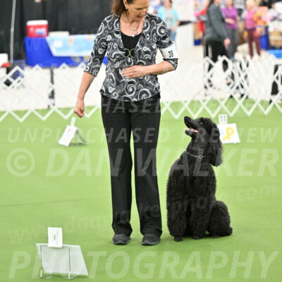 Ring-4-Morning-Rally_0802