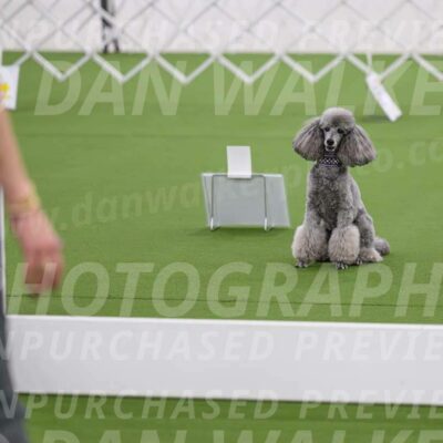 Ring-4-Morning-Rally_0853-Enhanced-NR