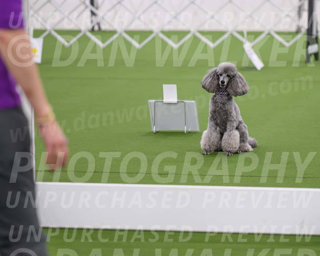 Ring-4-Morning-Rally_0853-Enhanced-NR