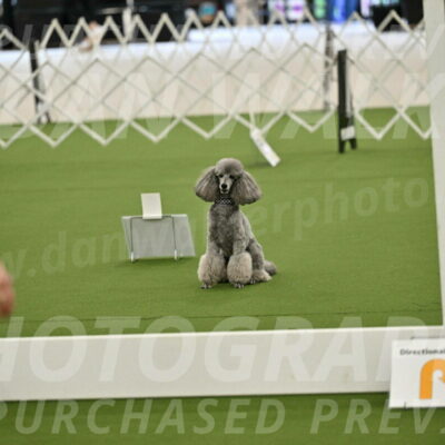 Ring-4-Morning-Rally_0853