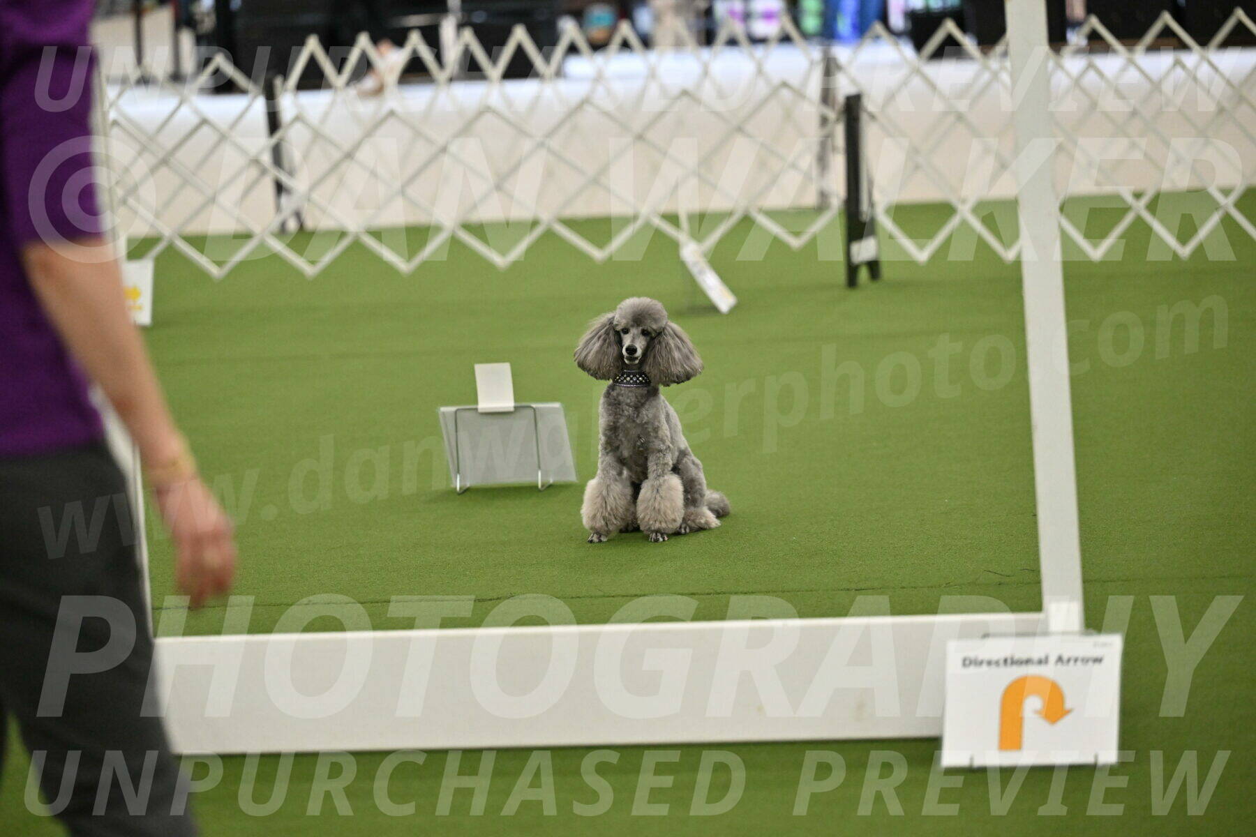 Ring-4-Morning-Rally_0853