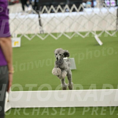 Ring-4-Morning-Rally_0854