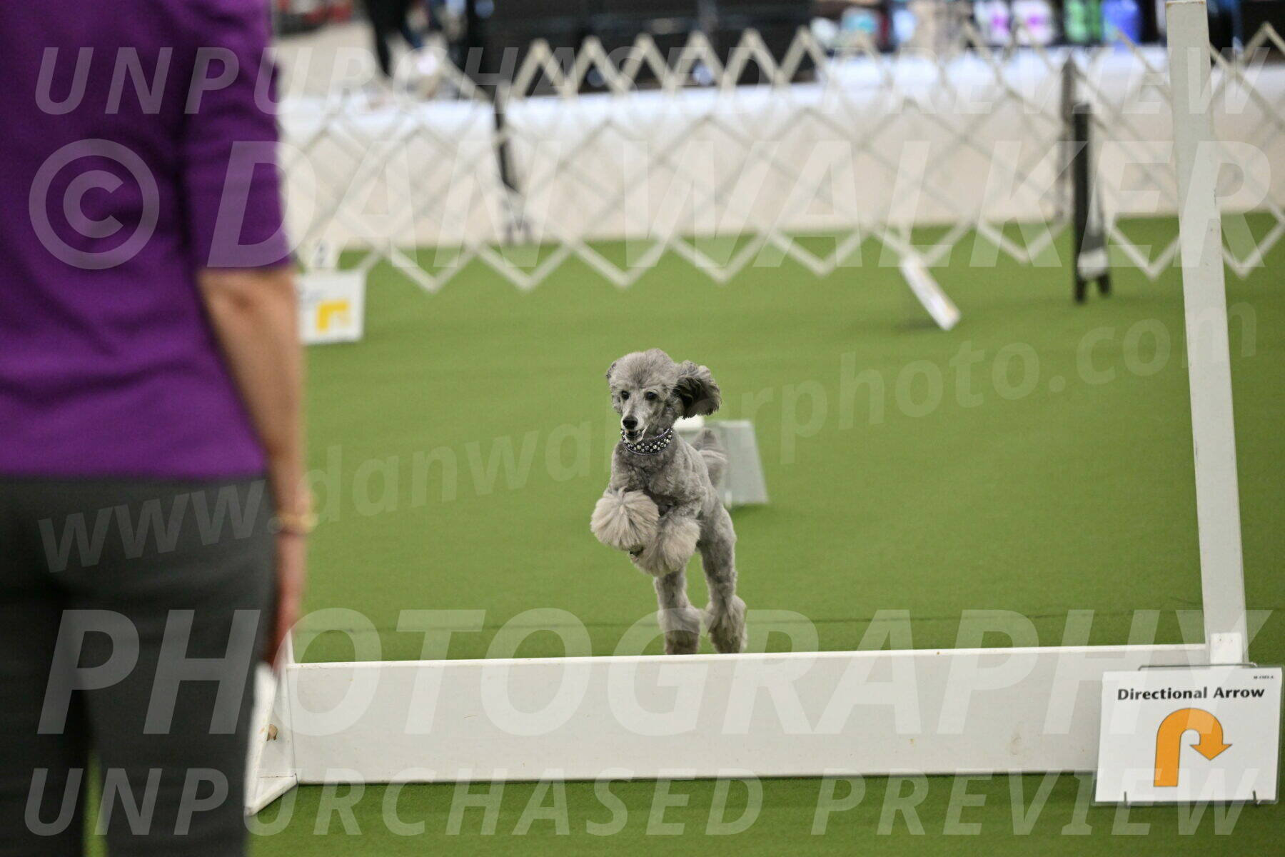 Ring-4-Morning-Rally_0854