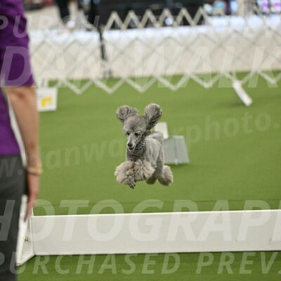 Ring-4-Morning-Rally_0855