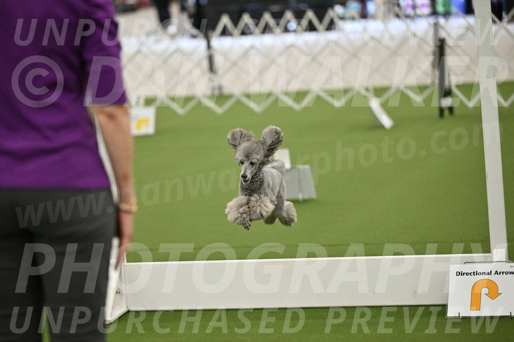 Ring-4-Morning-Rally_0855