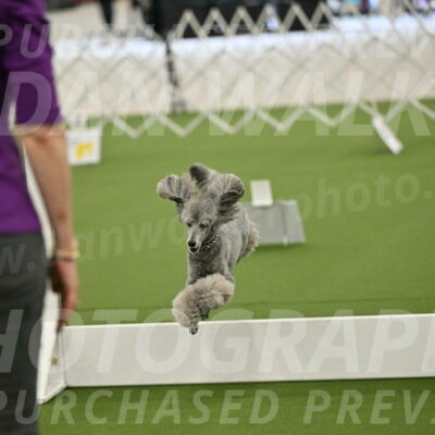 Ring-4-Morning-Rally_0856