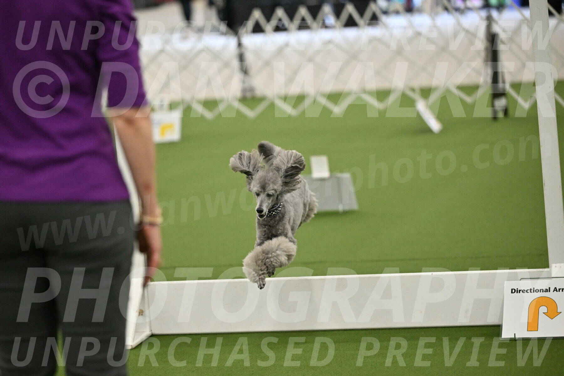 Ring-4-Morning-Rally_0856