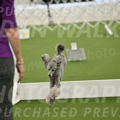 Ring-4-Morning-Rally_0857