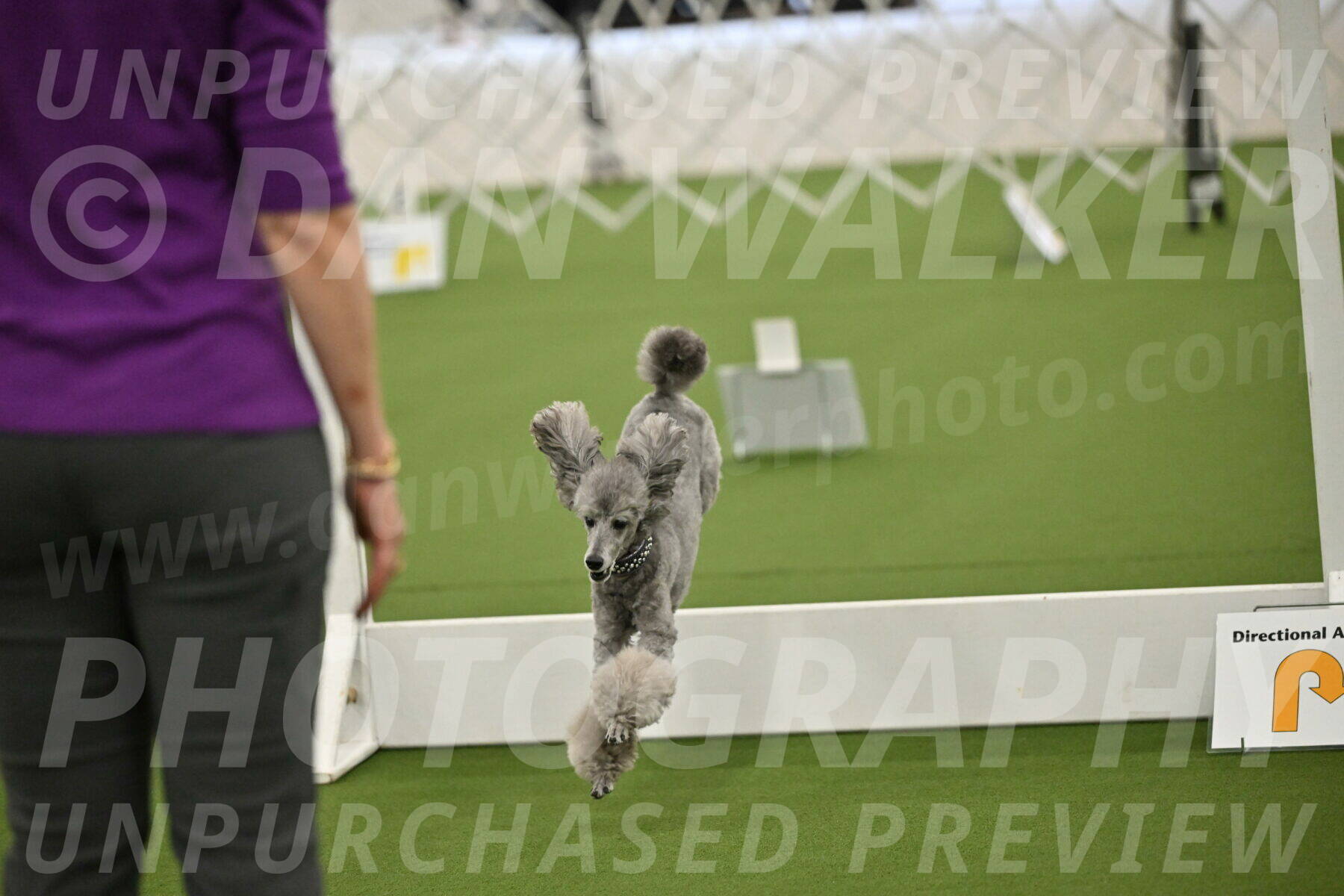 Ring-4-Morning-Rally_0857