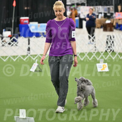 Ring-4-Morning-Rally_0861