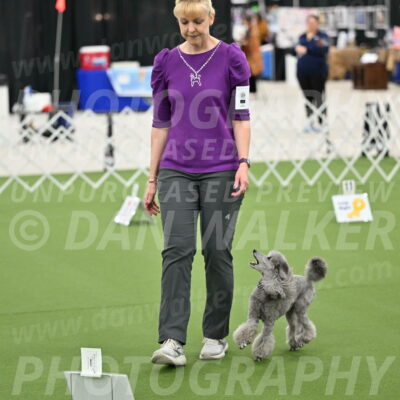 Ring-4-Morning-Rally_0862